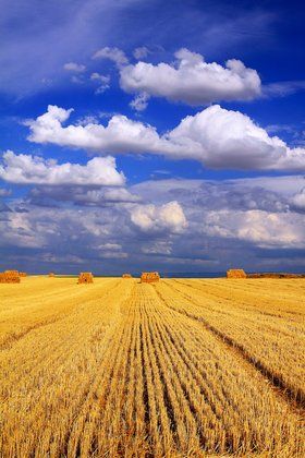 Привітання з Днем захисника України до сліз