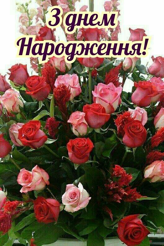 Привітання з днем народження Елеонорі українською мовою
